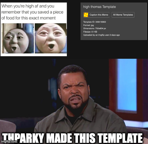 It's literally just a meme uncropped, worst of all, a site mod made it | THPARKY MADE THIS TEMPLATE | image tagged in really ice cube | made w/ Imgflip meme maker