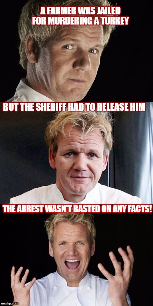 Turkey Day Is Right Around The Corner | A FARMER WAS JAILED FOR MURDERING A TURKEY; BUT THE SHERIFF HAD TO RELEASE HIM; THE ARREST WASN'T BASTED ON ANY FACTS! | image tagged in bad pun chef,thanksgiving,chef gordon ramsay,memes,turkey day | made w/ Imgflip meme maker
