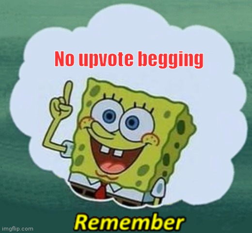 Remember | No upvote begging | image tagged in remember | made w/ Imgflip meme maker