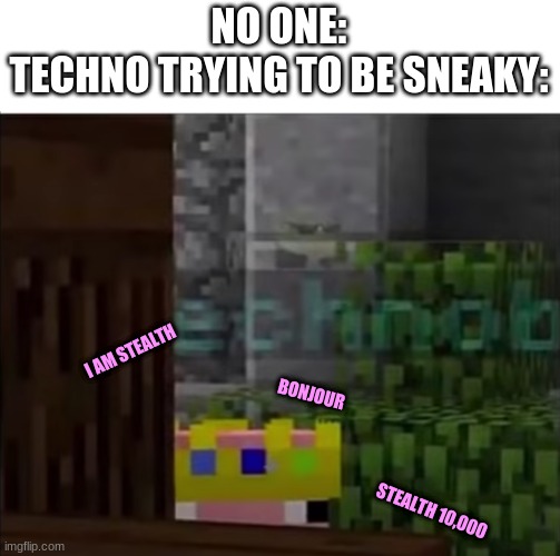 He tried this with a poster too lmao | NO ONE:
TECHNO TRYING TO BE SNEAKY:; I AM STEALTH; BONJOUR; STEALTH 10,000 | image tagged in technoblade bonjour | made w/ Imgflip meme maker