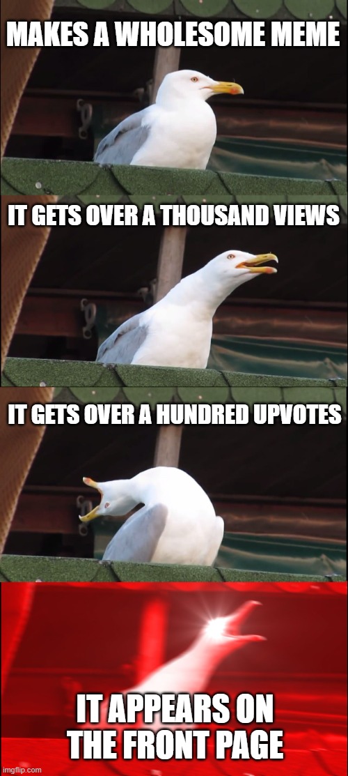 Seriously Guys, Thank You So Much For All The Views And Upvotes! I'm Glad I Got To Make So Many People's Day! Go Do Something Gr | MAKES A WHOLESOME MEME; IT GETS OVER A THOUSAND VIEWS; IT GETS OVER A HUNDRED UPVOTES; IT APPEARS ON THE FRONT PAGE | image tagged in memes,inhaling seagull,happiness,thank you,wholesome | made w/ Imgflip meme maker