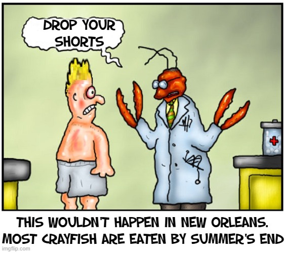 There are very few Crawfish Proctologists in Louisiana | DROP YOUR
SHORTS; THIS WOULDN'T HAPPEN IN NEW ORLEANS. MOST CRAYFISH ARE EATEN BY SUMMER'S END | image tagged in vince vance,proctologist,crawfish,cajuns,new orleans,memes | made w/ Imgflip meme maker