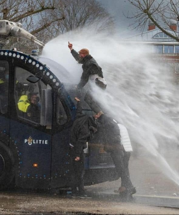 Fuck Blank Template Imgflip