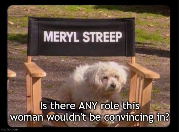 Meryl | Is there ANY role this woman wouldn't be convincing in? | image tagged in celebs | made w/ Imgflip meme maker