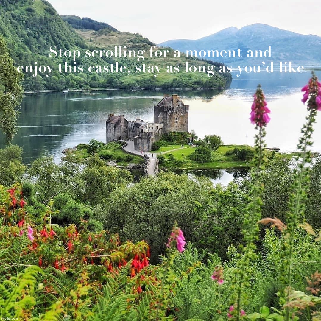 Majestic c a s t l e | Stop scrolling for a moment and enjoy this castle, stay as long as you’d like | image tagged in c,a,s,t,l,e | made w/ Imgflip meme maker