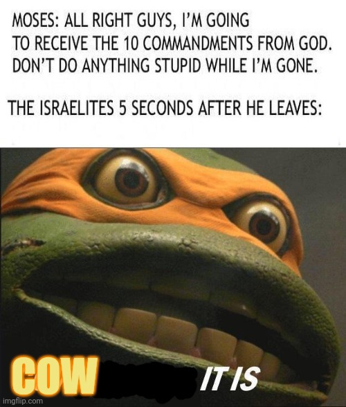 Bible memes | COW | image tagged in cowabunga it is,turtles,ten commandments,moses | made w/ Imgflip meme maker