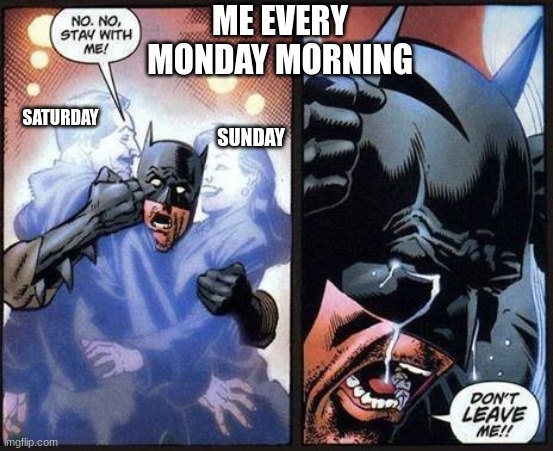 Batman don't leave me | ME EVERY MONDAY MORNING; SATURDAY; SUNDAY | image tagged in batman don't leave me | made w/ Imgflip meme maker