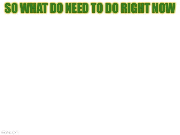Blank White Template | SO WHAT DO NEED TO DO RIGHT NOW | image tagged in blank white template | made w/ Imgflip meme maker