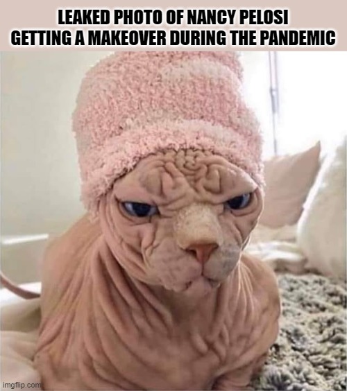 LEAKED PHOTO OF NANCY PELOSI GETTING A MAKEOVER DURING THE PANDEMIC | image tagged in nancy pelosi,pelosi,grumpy cat,cat,funny cats,pandemic | made w/ Imgflip meme maker