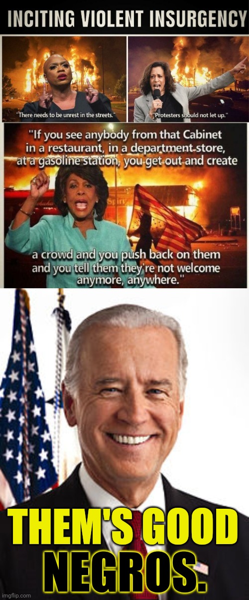 Democrats are inciting violence also joes a racist. | THEM'S GOOD; NEGROS. | image tagged in joe biden,racist,pedophile,racism,black | made w/ Imgflip meme maker