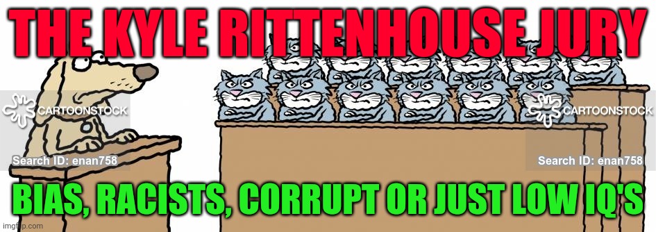 Dog Tried By Cat Jury | THE KYLE RITTENHOUSE JURY; BIAS, RACISTS, CORRUPT OR JUST LOW IQ'S | image tagged in dog tried by cat jury | made w/ Imgflip meme maker