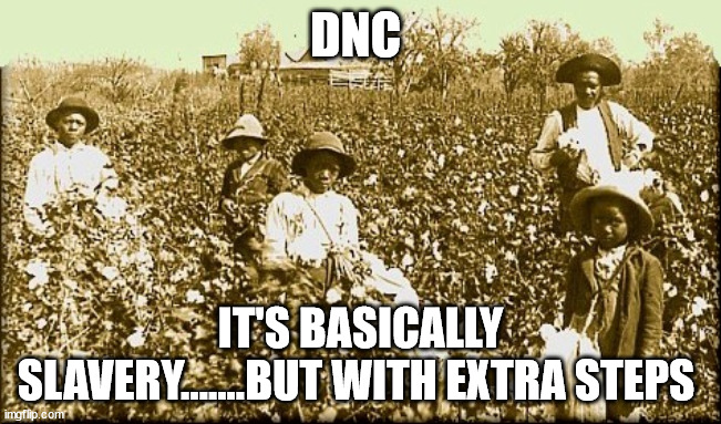 cotton slaves | DNC IT'S BASICALLY SLAVERY.......BUT WITH EXTRA STEPS | image tagged in cotton slaves | made w/ Imgflip meme maker