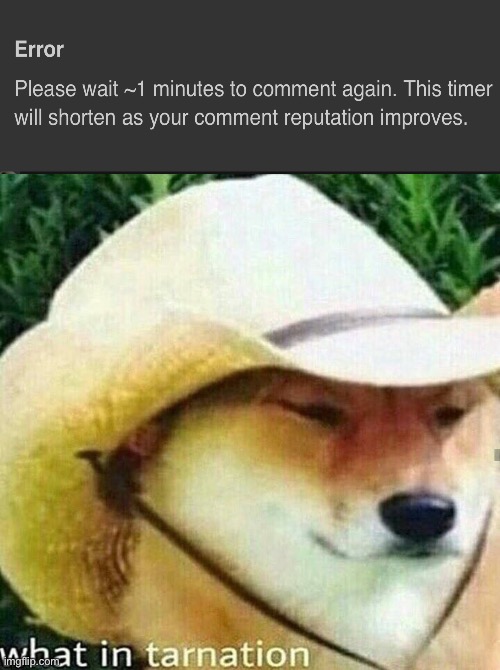 Can somebody explain this? | image tagged in what in tarnation dog | made w/ Imgflip meme maker