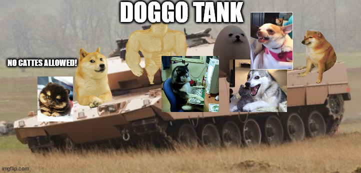 Doggo Tank | DOGGO TANK; NO CATTES ALLOWED! | image tagged in challenger tank,dogs,doge,buff doge,cheems,pomeranian | made w/ Imgflip meme maker