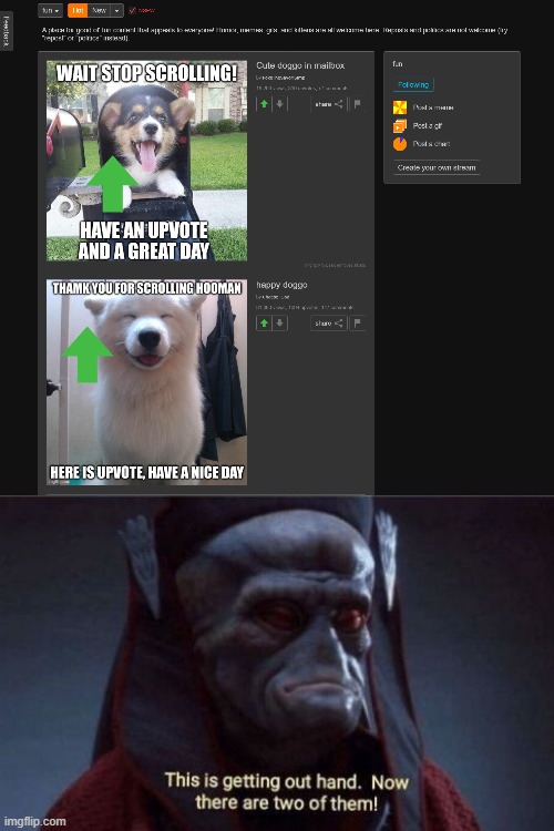 to upvote given damn those dogs are so nice | image tagged in this is getting out of hand,memes | made w/ Imgflip meme maker