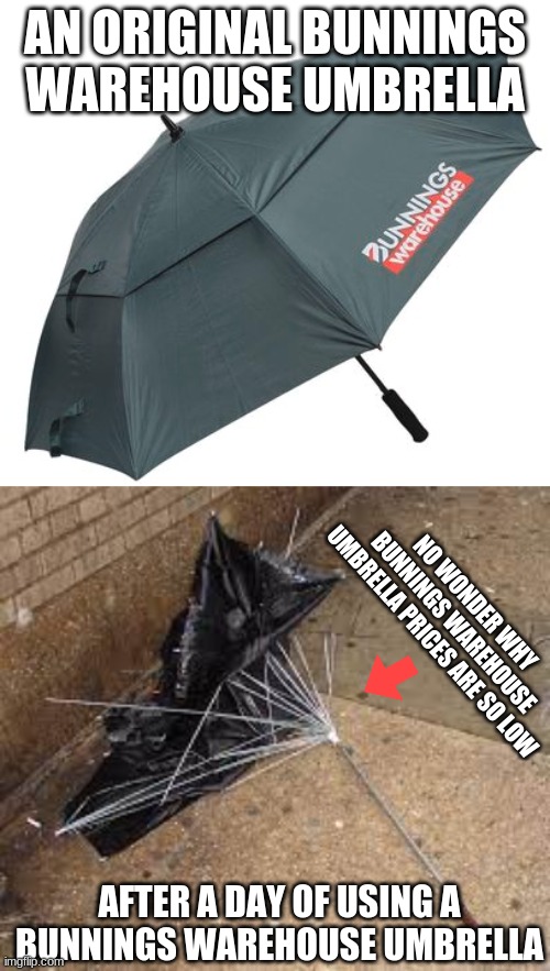 Bunnings warehouse umbrella | AN ORIGINAL BUNNINGS WAREHOUSE UMBRELLA; NO WONDER WHY BUNNINGS WAREHOUSE UMBRELLA PRICES ARE SO LOW; AFTER A DAY OF USING A BUNNINGS WAREHOUSE UMBRELLA | image tagged in umbrella | made w/ Imgflip meme maker