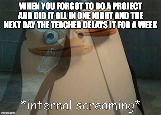 Private Internal Screaming | WHEN YOU FORGOT TO DO A PROJECT AND DID IT ALL IN ONE NIGHT AND THE NEXT DAY THE TEACHER DELAYS IT FOR A WEEK | image tagged in private internal screaming | made w/ Imgflip meme maker