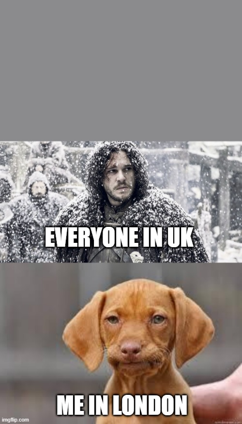 No Snow in London | EVERYONE IN UK; ME IN LONDON | image tagged in jon snow,disappointed dog | made w/ Imgflip meme maker