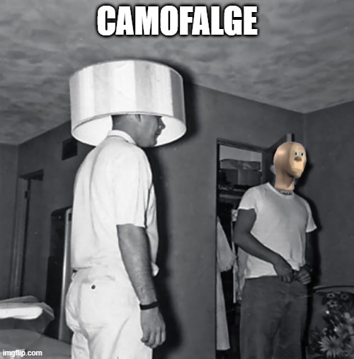 camoflage | CAMOFALGE | image tagged in camoflage | made w/ Imgflip meme maker