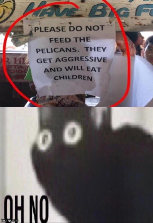 oh no, anyway | image tagged in surprised joey,funny,children,stupid signs,wtf,oh no cat | made w/ Imgflip meme maker