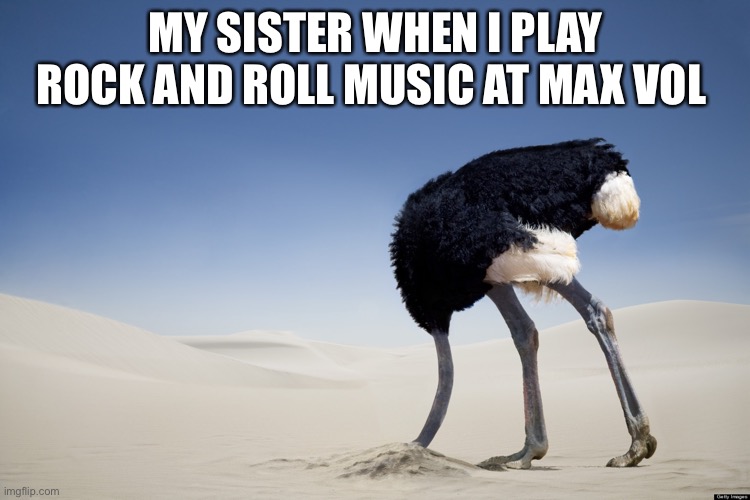 Ostrich head in sand | MY SISTER WHEN I PLAY ROCK AND ROLL MUSIC AT MAX VOL | image tagged in ostrich head in sand | made w/ Imgflip meme maker