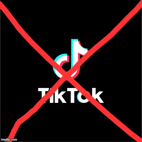 You cant catch me | image tagged in tiktok logo | made w/ Imgflip meme maker