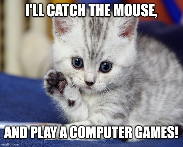 Cute Kitten | I'LL CATCH THE MOUSE, AND PLAY A COMPUTER GAMES! | image tagged in cute kitten | made w/ Imgflip meme maker