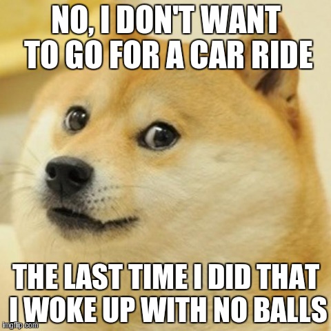C'mon, Doge! | NO, I DON'T WANT TO GO FOR A CAR RIDE THE LAST TIME I DID THAT I WOKE UP WITH NO BALLS | image tagged in memes,doge | made w/ Imgflip meme maker