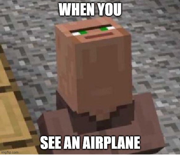 Minecraft Villager Looking Up | WHEN YOU; SEE AN AIRPLANE | image tagged in minecraft villager looking up | made w/ Imgflip meme maker