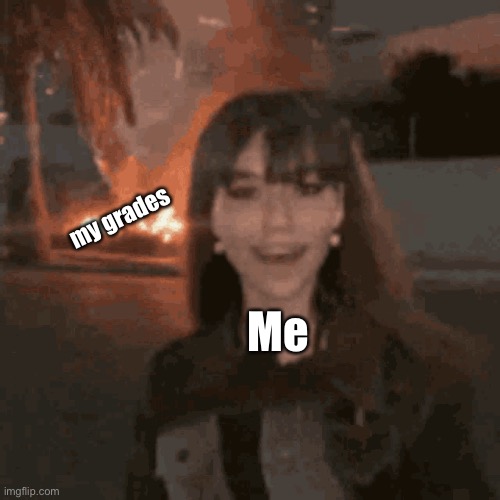 My poor grades | my grades; Me | image tagged in school | made w/ Imgflip meme maker