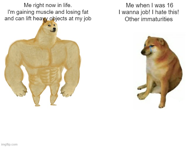 How I've grown | Me right now in life.
I'm gaining muscle and losing fat and can lift heavy objects at my job; Me when I was 16
I wanna job! I hate this! 
Other immaturities | image tagged in memes,buff doge vs cheems,maturity,immature highschoolers,labour,muscles | made w/ Imgflip meme maker