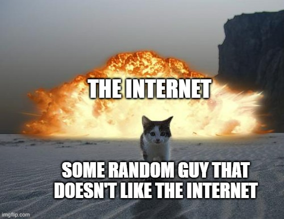 cat explosion | THE INTERNET; SOME RANDOM GUY THAT DOESN'T LIKE THE INTERNET | image tagged in cat explosion | made w/ Imgflip meme maker