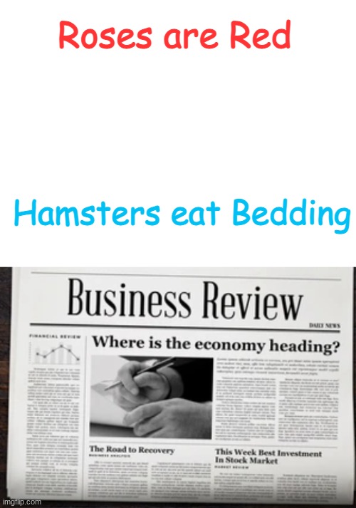 Roses are Red; Hamsters eat Bedding | image tagged in blank white template | made w/ Imgflip meme maker