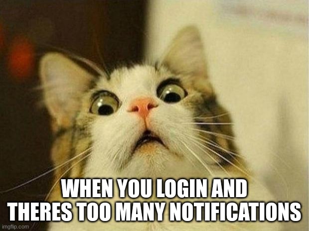 relatable? put answers in comments | WHEN YOU LOGIN AND THERES TOO MANY NOTIFICATIONS | image tagged in memes,scared cat | made w/ Imgflip meme maker