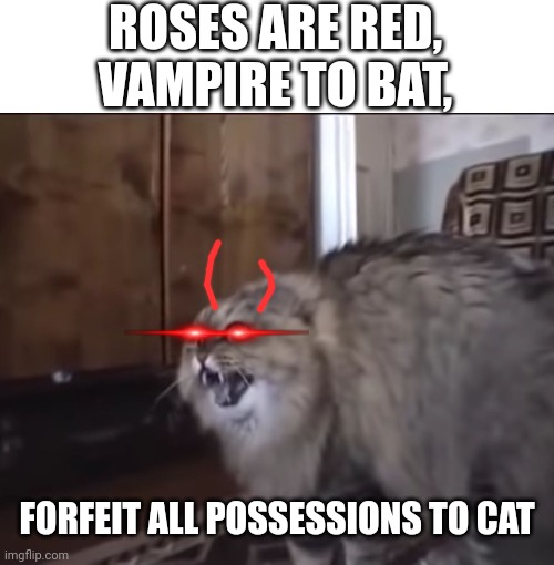 Hissing cat | ROSES ARE RED, VAMPIRE TO BAT, FORFEIT ALL POSSESSIONS TO CAT | image tagged in hissing cat | made w/ Imgflip meme maker