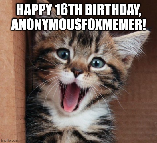 Happy birthday, sis! | HAPPY 16TH BIRTHDAY, ANONYMOUSFOXMEMER! | image tagged in happy cat | made w/ Imgflip meme maker