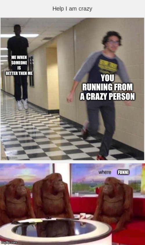 but where is the funny? | FUNNI | image tagged in where funni,monkey,gay | made w/ Imgflip meme maker