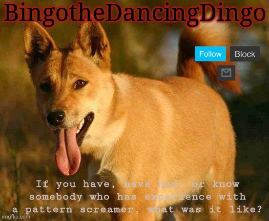 I've had to deal with one. It sucked, because it would take the form of all my old friends and attack in my dreams. | BingotheDancingDingo; If you have, have had, or know somebody who has experience with a pattern screamer, what was it like? | image tagged in dingo | made w/ Imgflip meme maker
