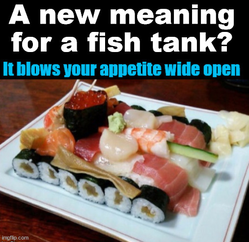 It looks better for sushi | A new meaning
for a fish tank? | image tagged in food,sushi | made w/ Imgflip meme maker