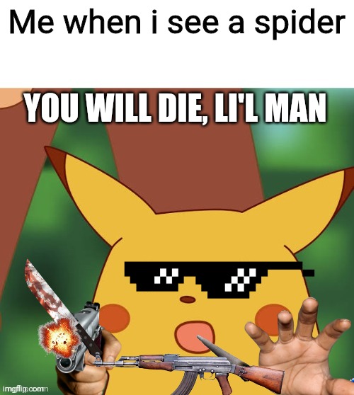 Surprised pikachu HD | Me when i see a spider; YOU WILL DIE, LI'L MAN | image tagged in surprised pikachu hd | made w/ Imgflip meme maker