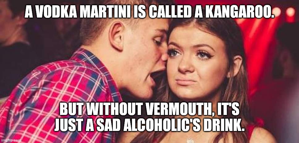 Vodka Martinis | A VODKA MARTINI IS CALLED A KANGAROO. BUT WITHOUT VERMOUTH, IT'S JUST A SAD ALCOHOLIC'S DRINK. | image tagged in drunk guy talking girl,martini,vodka,drinks,drunk,alcoholic | made w/ Imgflip meme maker