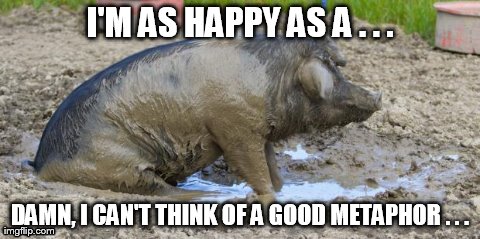 I'M AS HAPPY AS A . . . DAMN, I CAN'T THINK OF A GOOD METAPHOR . . . | image tagged in funny,pig,mud | made w/ Imgflip meme maker
