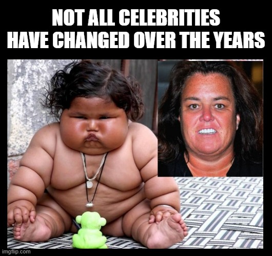NOT ALL CELEBRITIES
HAVE CHANGED OVER THE YEARS | image tagged in rosie o'donnell,rosie,liberals,annoying,asshat,the view | made w/ Imgflip meme maker
