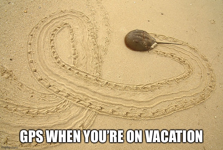 GPS WHEN YOU’RE ON VACATION | image tagged in vacation,gps,lost,google maps | made w/ Imgflip meme maker