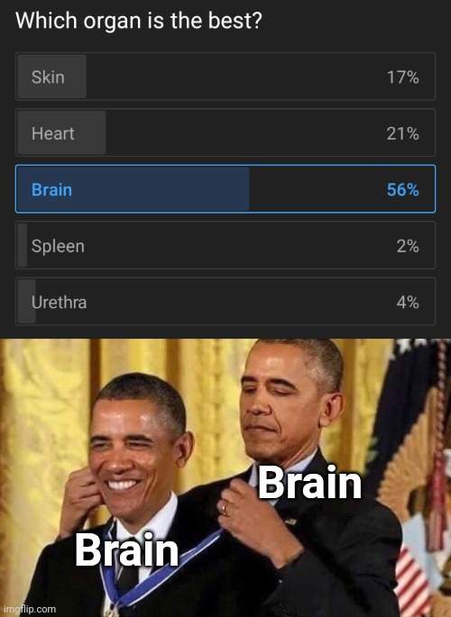 Brain is the best -Brain | Brain; Brain | image tagged in obama medal,funny,memes,funny memes,brain,best | made w/ Imgflip meme maker