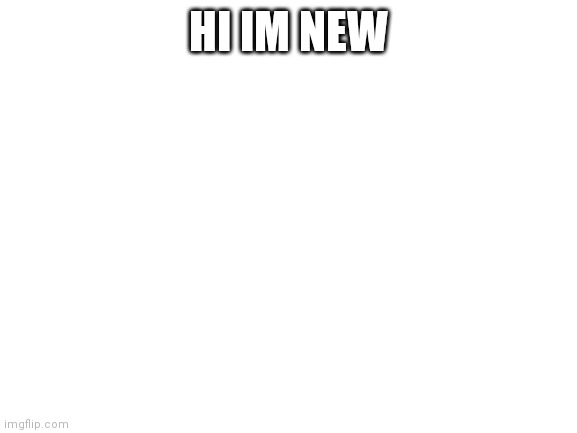 Blank White Template | HI IM NEW | image tagged in blank white template | made w/ Imgflip meme maker