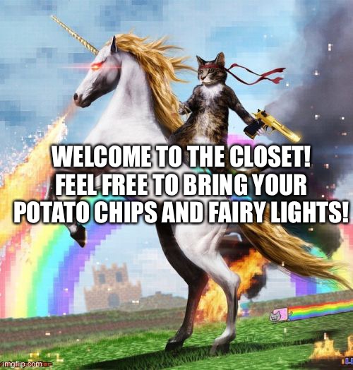Hello!!! | WELCOME TO THE CLOSET! FEEL FREE TO BRING YOUR POTATO CHIPS AND FAIRY LIGHTS! | image tagged in memes,welcome to the internets,closeted gay,closet | made w/ Imgflip meme maker