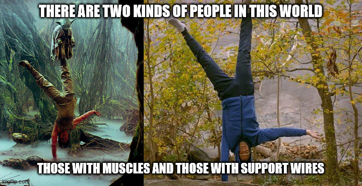 Mark Hamil real handstand | THERE ARE TWO KINDS OF PEOPLE IN THIS WORLD; THOSE WITH MUSCLES AND THOSE WITH SUPPORT WIRES | image tagged in star wars,handstand,real life,fake,karate kid | made w/ Imgflip meme maker