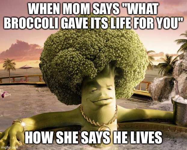 Broccoli's matter | WHEN MOM SAYS "WHAT BROCCOLI GAVE ITS LIFE FOR YOU"; HOW SHE SAYS HE LIVES | image tagged in broccoli | made w/ Imgflip meme maker