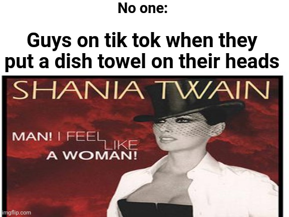 Oh I'm A mOm NoW | No one:; Guys on tik tok when they put a dish towel on their heads | image tagged in tik tok,tiktok sucks,shane dawson,mark twain,swedish chef | made w/ Imgflip meme maker